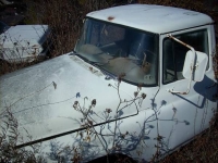 1966 International 1 Ton for sale (ID-100382)