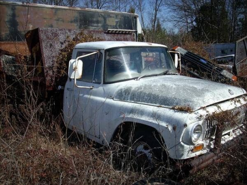1966 International Pickup for sale (ID-99381) 1966 International Pickup for sale (ID-99381)
