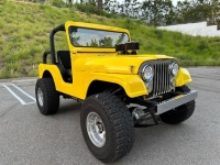 1966 Jeep CJ5 for sale in Michigan (ID-123757)