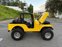 1966 Jeep CJ5 for sale in Michigan (ID-123757)