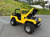 1966 Jeep CJ5 for sale in Michigan (ID-123757)