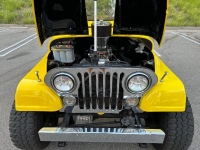 1966 Jeep CJ5 for sale in Michigan (ID-123757)