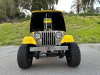 1966 Jeep CJ5 for sale in Michigan (ID-123757)