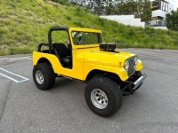 1966 Jeep CJ5 for sale in Michigan (ID-123757)