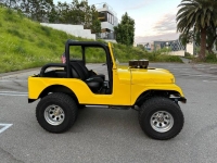 1966 Jeep CJ5 for sale in Michigan (ID-123757)