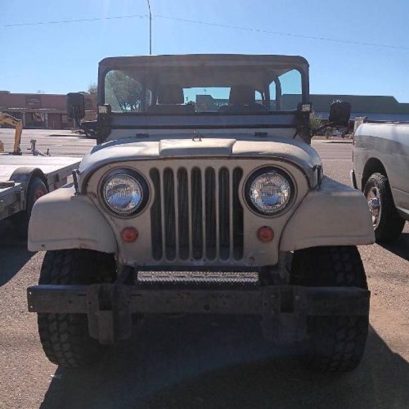 1966 Jeep CJ5 for sale in Michigan (ID-155132)