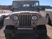 1966 Jeep CJ5 for sale in Michigan (ID-155132)