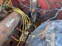 1966 Jeep Gladiator for sale in Michigan (ID-142789)