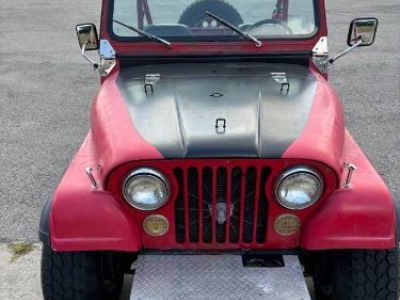 1966 Jeep Wrangler for sale