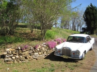 1966 Mercedes-Benz 220SE for sale in Michigan (ID-108006)