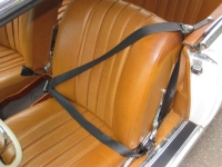 1966 Mercedes-Benz 220SE for sale in Michigan (ID-145486)