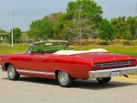 1966 Mercury Cyclone for sale (ID-162287)