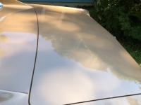 1966 Oldsmobile 442 for sale in Michigan (ID-115981)