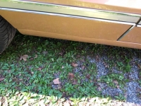 1966 Oldsmobile 442 for sale in Michigan (ID-115981)