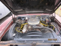 1966 Oldsmobile 442 for sale (ID-123977)