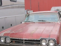 1966 Oldsmobile 442 for sale (ID-123977)