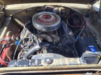 1966 Plymouth Belvedere for sale in Michigan (ID-126565)