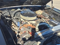 1966 Plymouth Belvedere for sale (ID-145965)