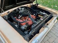 1966 Plymouth Belvedere for sale in Michigan (ID-146898)