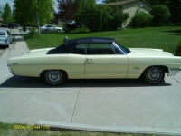 1966 Pontiac Catalina for sale in Michigan (ID-117575)