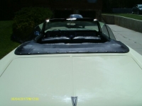 1966 Pontiac Catalina for sale in Michigan (ID-117575)