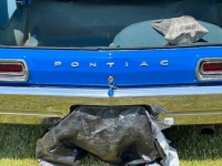 1966 Pontiac Catalina for sale in Michigan (ID-118672)