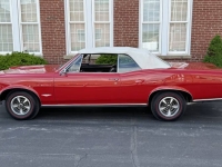 1966 Pontiac GTO for sale in Addison, Illinois (ID-141877)
