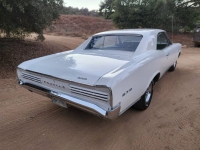 1966 Pontiac GTO for sale in Michigan (ID-143195)
