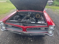 1966 Pontiac GTO for sale (ID-117426)