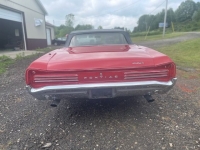 1966 Pontiac GTO for sale (ID-117426)