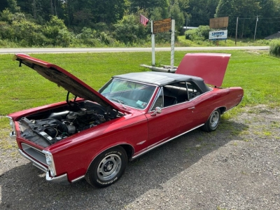 1966 Pontiac GTO for sale