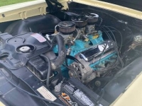 1966 Pontiac GTO for sale in Michigan (ID-164094)