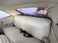 1966 Pontiac LeMans for sale in Michigan (ID-123022)