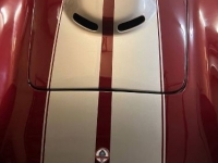 1966 Shelby Cobra for sale in Michigan (ID-123011)