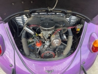 1966 Volkswagen Beetle for sale in Michigan (ID-97315)