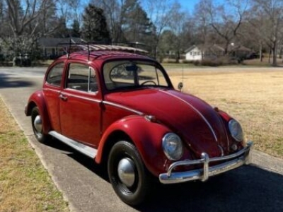 1966 Volkswagen Beetle for sale