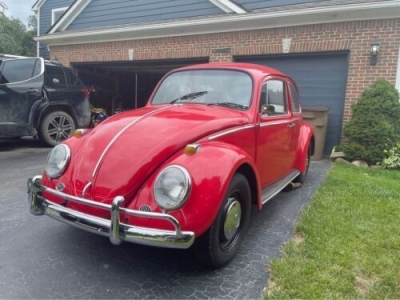 1966 Volkswagen Beetle for sale