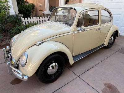 1966 Volkswagen Beetle for sale