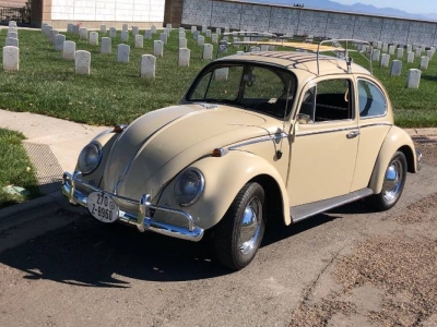 1966 Volkswagen Beetle for sale