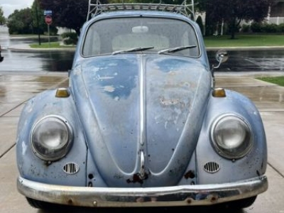 1966 Volkswagen Beetle for sale