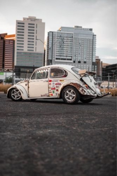 1966 Volkswagen Beetle for sale in Michigan (ID-123799)