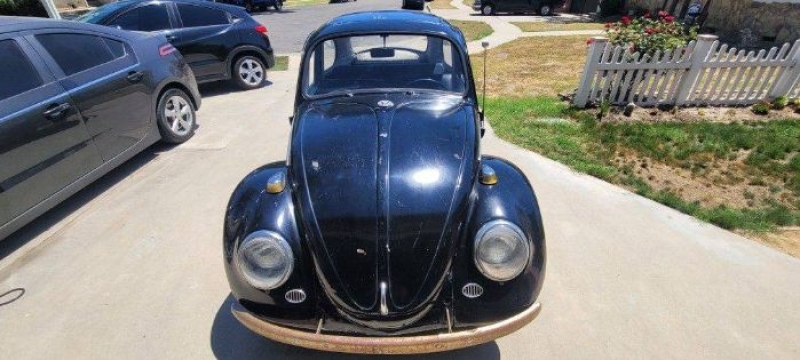 1966 Volkswagen Beetle for sale in Michigan (ID-132632) 1966 Volkswagen Beetle for sale in Michigan (ID-132632)