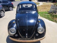 1966 Volkswagen Beetle for sale in Michigan (ID-132632)