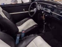 1966 Volkswagen Beetle for sale in Michigan (ID-134543)