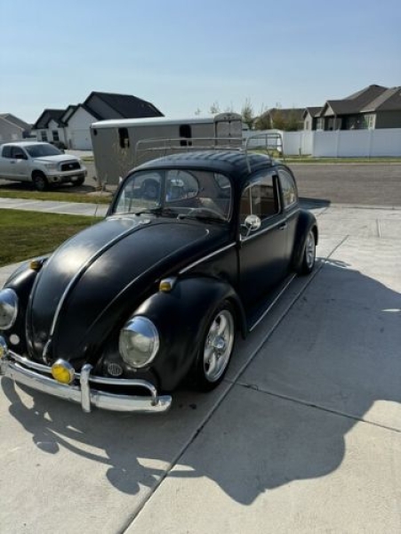 1966 Volkswagen Beetle for sale in Michigan (ID-135534)