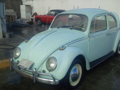 1966 Volkswagen Beetle for sale