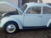 1966 Volkswagen Beetle for sale in Michigan (ID-136178)