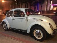 1966 Volkswagen Beetle for sale in Michigan (ID-136178)