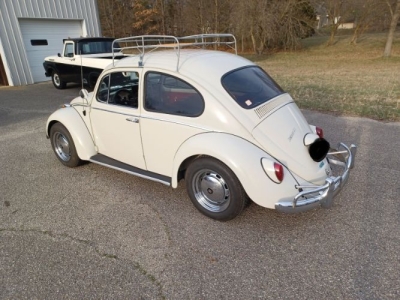 1966 Volkswagen Beetle for sale