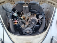 1966 Volkswagen Beetle for sale in Michigan (ID-136284)